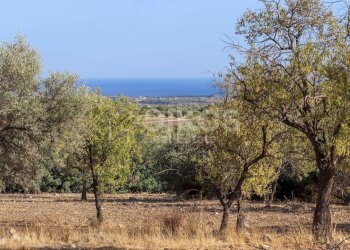Foto 1 - Terreno agricolo C.da Bochini
 
s.n.c., Avola - foto 1