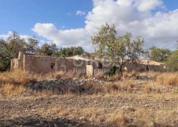Foto 2 - Terreno agricolo C.da Bochini
 
s.n.c., Avola - foto 2