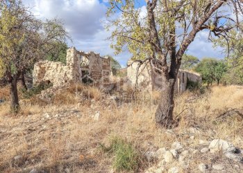 Foto 5 - Terreno agricolo C.da Bochini
 
s.n.c., Avola - foto 5