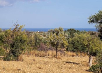 Foto 6 - Terreno agricolo C.da Bochini
 
s.n.c., Avola - foto 6