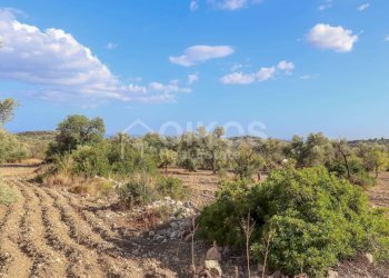 Foto 7 - Terreno agricolo C.da Bochini
 
s.n.c., Avola - foto 7