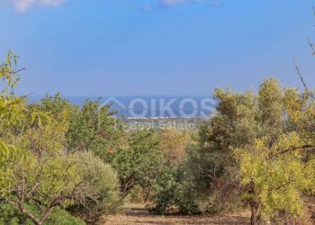 Foto 8 - Terreno agricolo C.da Bochini
 
s.n.c., Avola - foto 8