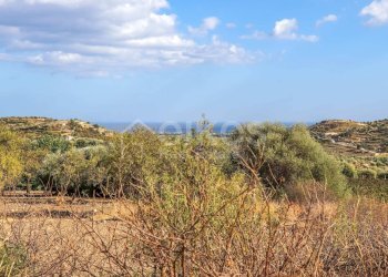 Foto 10 - Terreno agricolo C.da Bochini
 
s.n.c., Avola - foto 10