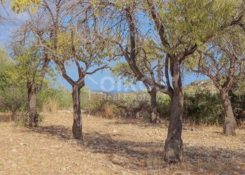 Foto 12 - Terreno agricolo C.da Bochini
 
s.n.c., Avola - foto 12