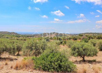 Foto 17 - Terreno agricolo C.da Bochini
 
s.n.c., Avola - foto 17