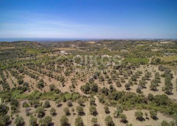 Foto 19 - Terreno agricolo C.da Bochini
 
s.n.c., Avola - foto 19