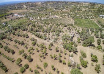 Foto 20 - Terreno agricolo C.da Bochini
 
s.n.c., Avola - foto 20