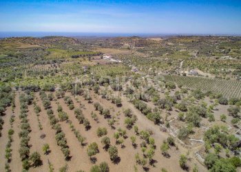 Foto 21 - Terreno agricolo C.da Bochini
 
s.n.c., Avola - foto 21