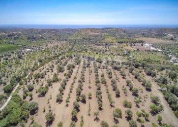 Foto 22 - Terreno agricolo C.da Bochini
 
s.n.c., Avola - foto 22