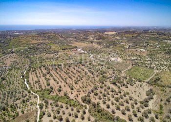 Foto 23 - Terreno agricolo C.da Bochini
 
s.n.c., Avola - foto 23