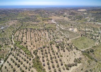 Foto 24 - Terreno agricolo C.da Bochini
 
s.n.c., Avola - foto 24