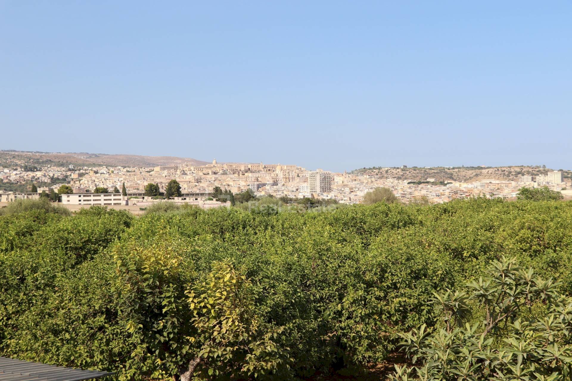 Foto 3 - Terreno agricolo C.da Madonna Marina
 
s.n.c., Noto - foto 3