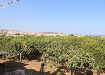Foto 5 - Terreno agricolo C.da Madonna Marina
s.n.c., Noto - foto 5