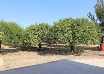 Foto 10 - Terreno agricolo C.da Madonna Marina
s.n.c., Noto - foto 10