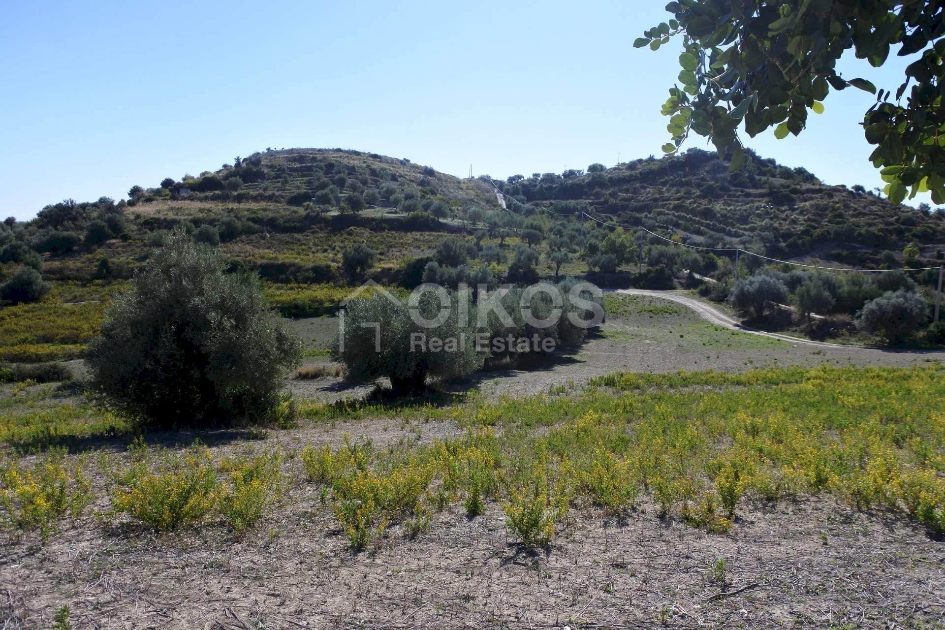 Foto 2 - Agricultural land C.da Bochini
 
snc, Avola - photo 2