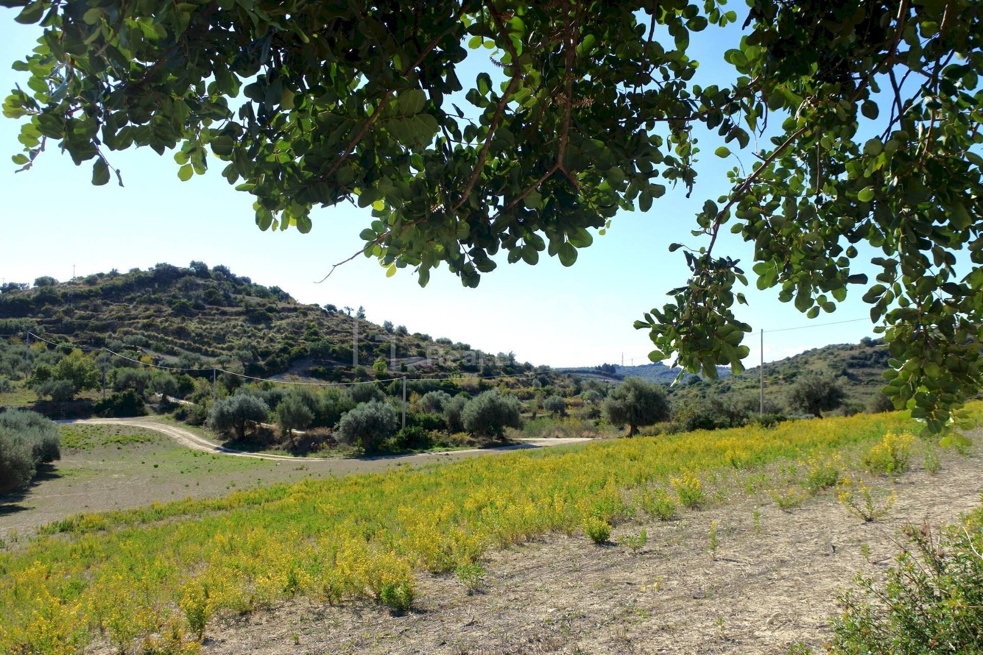 Foto 3 - Agricultural land C.da Bochini
 
snc, Avola - photo 3