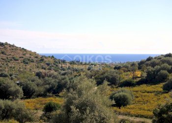 Foto 1 - Terreno agricolo C.da Bochini
 
snc, Avola - foto 1