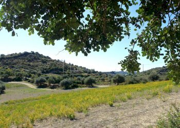 Foto 3 - Terreno agricolo C.da Bochini
 
snc, Avola - foto 3