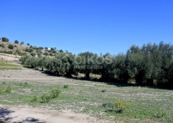 Foto 5 - Terreno agricolo C.da Bochini
 
snc, Avola - foto 5