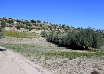 Foto 6 - Terreno agricolo C.da Bochini
 
snc, Avola - foto 6