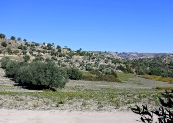 Foto 7 - Terreno agricolo C.da Bochini
 
snc, Avola - foto 7