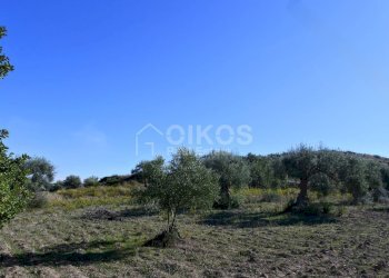 Foto 8 - Terreno agricolo C.da Bochini
 
snc, Avola - foto 8