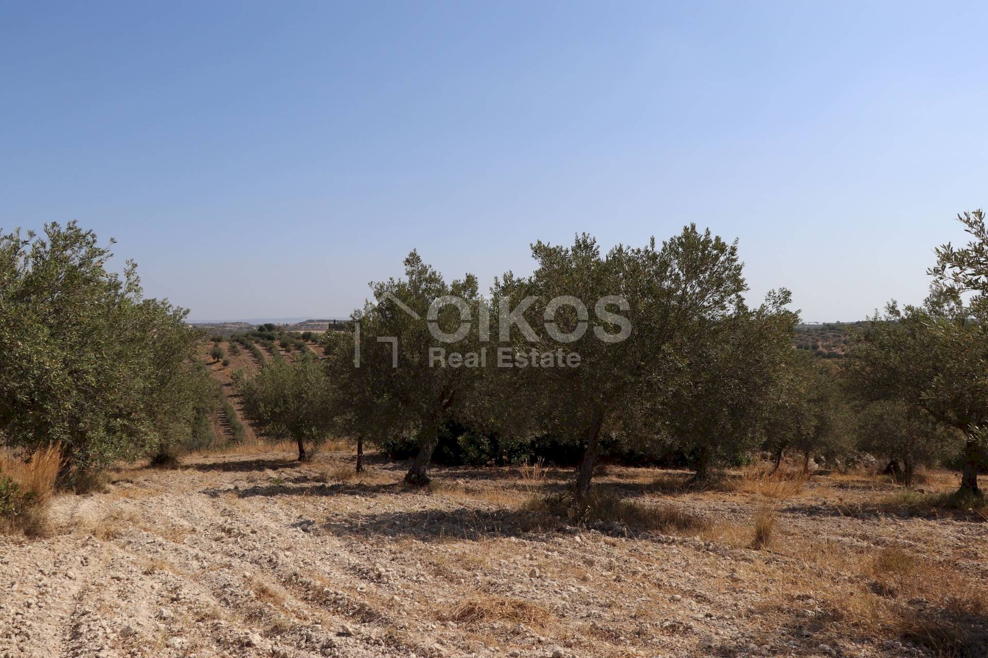 Foto 3 - Agricultural land C.da Bommiscuro, Noto - photo 3