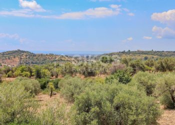 Foto 2 - Terreno agricolo C.da Bochini
 
1, Avola - foto 2