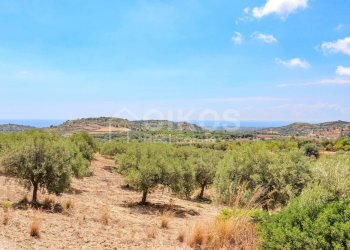 Foto 3 - Terreno agricolo C.da Bochini
 
1, Avola - foto 3