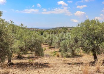 Foto 4 - Terreno agricolo C.da Bochini
 
1, Avola - foto 4