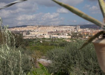 Foto 3 - Villa zupparda
 
s.n.c., Noto - foto 3