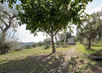 Foto 13 - Villa zupparda
 
s.n.c., Noto - foto 13