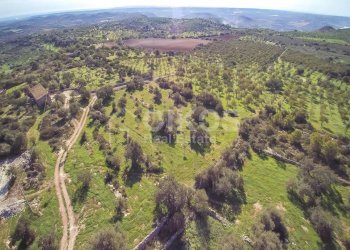 Foto 12 - Rustico C.da Grattaluri
 
snc, Noto - foto 12