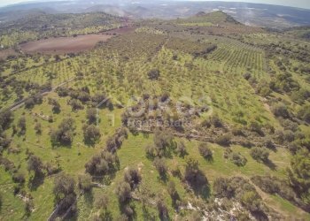 Foto 14 - Rustico C.da Grattaluri
 
snc, Noto - foto 14