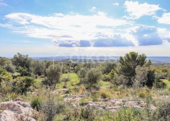 Foto 17 - Rustico C.da Grattaluri
 
snc, Noto - foto 17