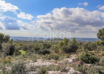 Foto 18 - Rustico C.da Grattaluri
 
snc, Noto - foto 18