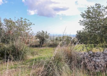 Foto 20 - Rustico C.da Grattaluri
 
snc, Noto - foto 20