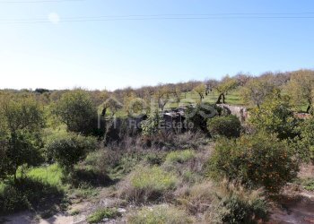 Foto 5 - Rustico C.da San Andrea
 
s.n.c., Noto - foto 5