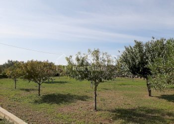 Foto 14 - Villa CONTRADA CUBA, Noto - foto 14