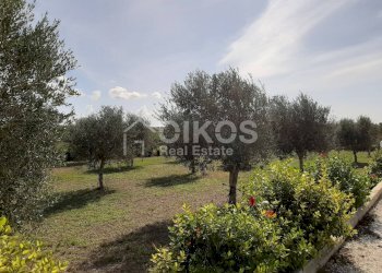 Foto 15 - Villa CONTRADA CUBA, Noto - foto 15