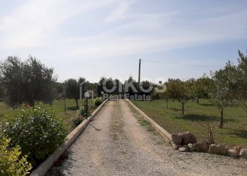 Foto 24 - Villa CONTRADA CUBA, Noto - foto 24