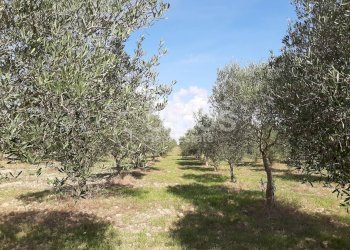 Foto 26 - Villa CONTRADA CUBA, Noto - foto 26