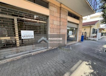 Foto 4 - Locale Commerciale via trieste 56-58
 
56-58, Giulianova - foto 4