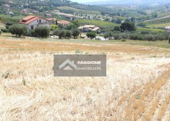 Foto 6 - Terreno edificabile strada provinciale 3, Colonnella - foto 6