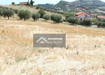 Foto 7 - Terreno edificabile strada provinciale 3, Colonnella - foto 7