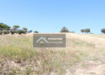 Foto 9 - Terreno edificabile strada provinciale 3, Colonnella - foto 9