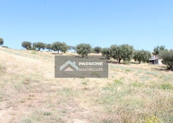 Foto 10 - Terreno edificabile strada provinciale 3, Colonnella - foto 10