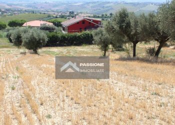 Foto 12 - Terreno edificabile strada provinciale 3, Colonnella - foto 11