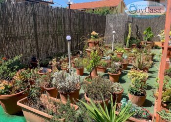 Foto 6 - Villa a Schiera Via delle Galassie, Ladispoli - foto 6