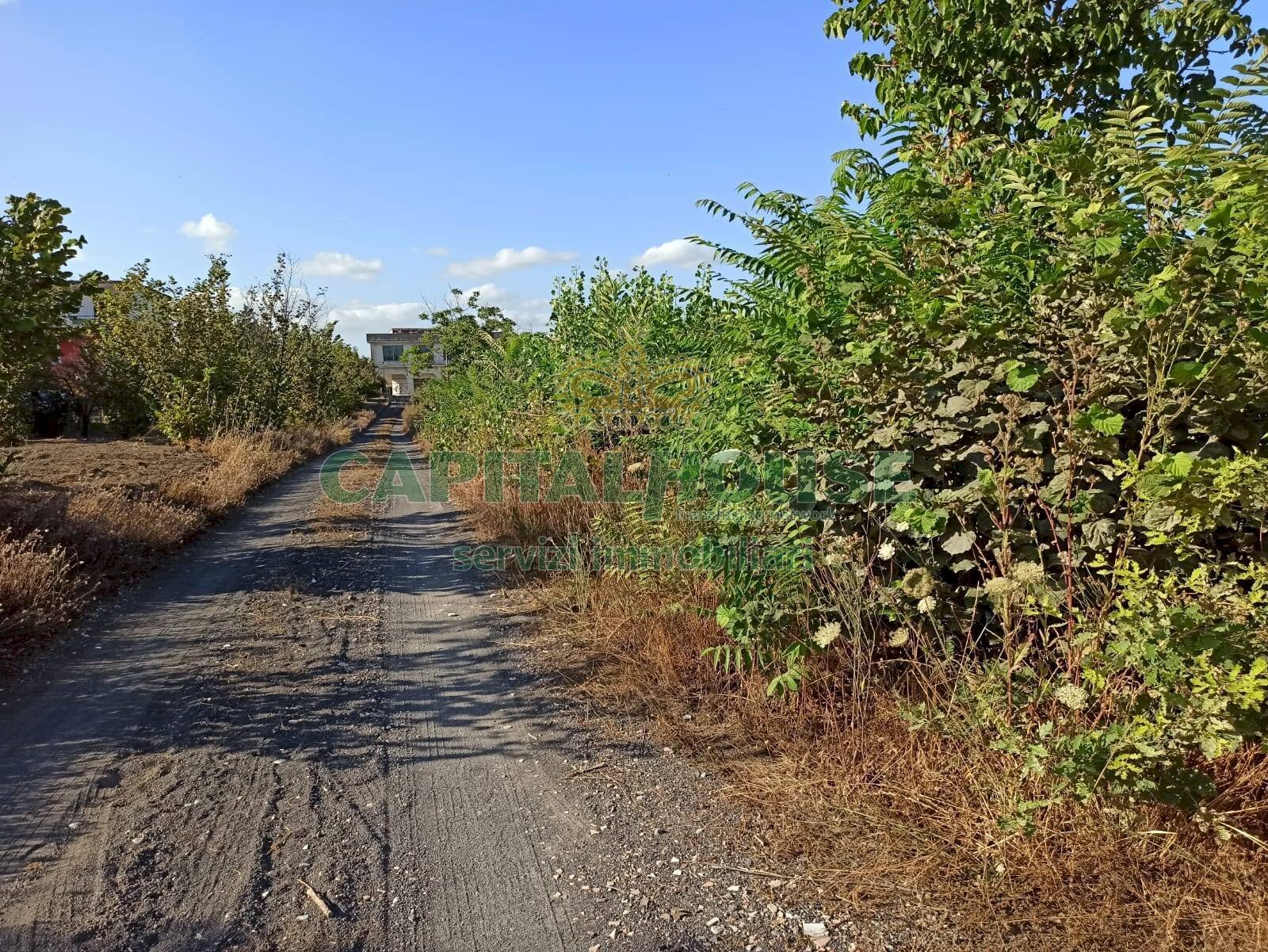 Foto 3 - Terreno agricolo via Recupe, Ottaviano - foto 3